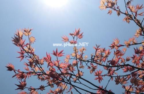 适合发朋友圈的鸡汤语录 走心的唯美说说短句精选39句