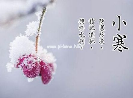 小寒朋友圈简短说说20句