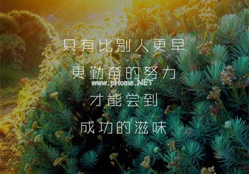 早上发朋友圈经典说说