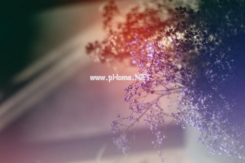 分手的说说霸气 形容分手后伤感的句子