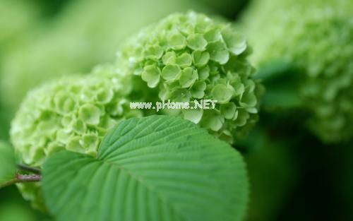 空间暖心短句说说推荐44句