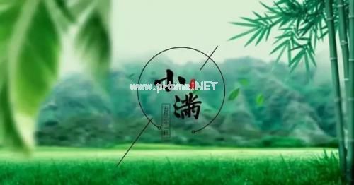 适合发说说的小满节气短语
