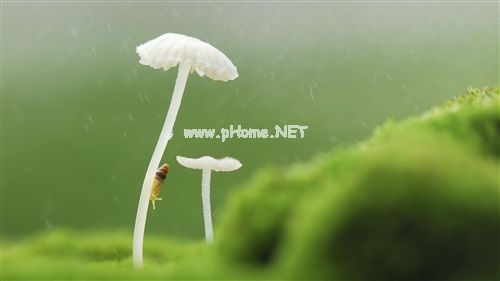 一切变得很陌生的说说 两个人变陌生了的说说30句