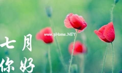七月你好的说说图片关于七月的朋友圈的文案
