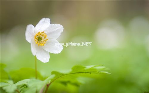表示父母偏心的朋友圈说说29句