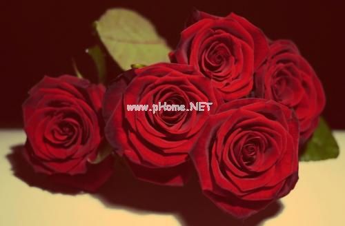 一句话表达结婚纪念日 结婚纪念日说说发朋友圈