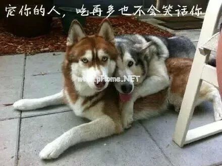想念家的说说心情短语 关于回家的心情说说收集21句