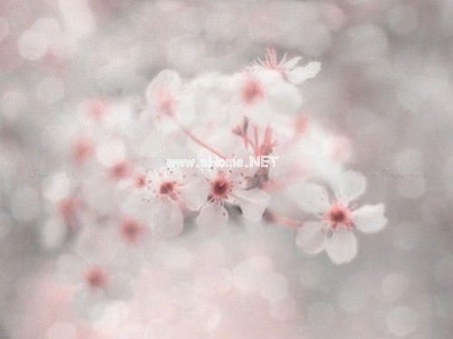早安说说心情一句话