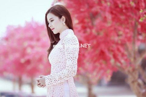 说说大全毕业季伤感汇总97句