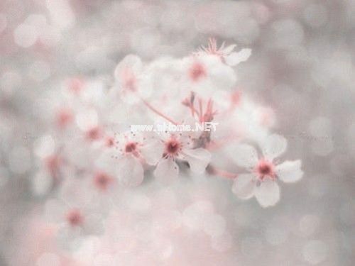 发朋友圈文艺一点的短句子 句句感慨