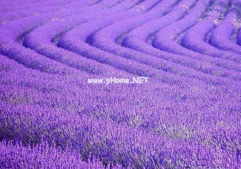 七夕情人节朋友圈文案