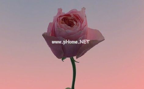 追星少女朋友圈说说 宇宙之大陪你制霸