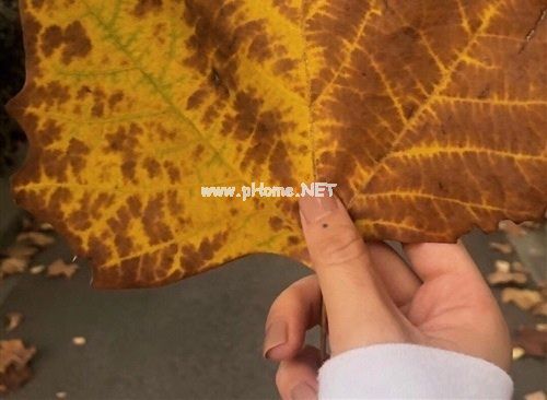 发朋友圈看书的说说