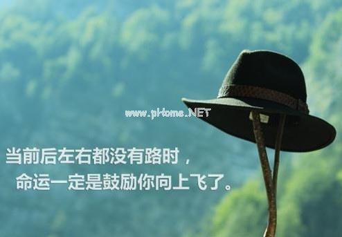 2023抖音最火的文案 抖音吸引加粉点赞的句子