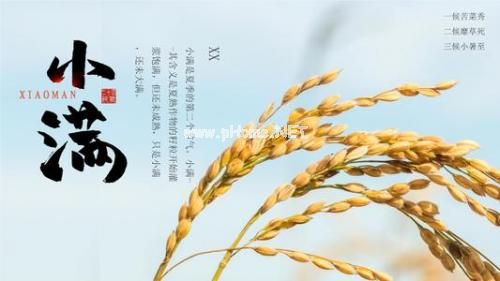 小满节气说说朋友圈句子17句