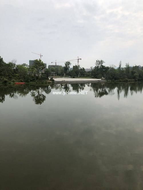 夏天来了的朋友圈句子24句
