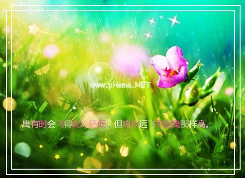 适合生活日常的朋友圈说说