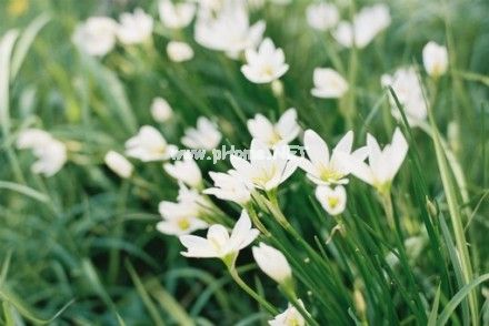 暗示想离婚的句子 累了该结束了的说说18句