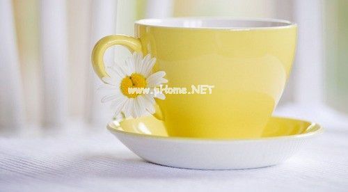 表达爱一个人文案短句 爱情简短文案一句话