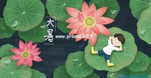 大暑说说句子