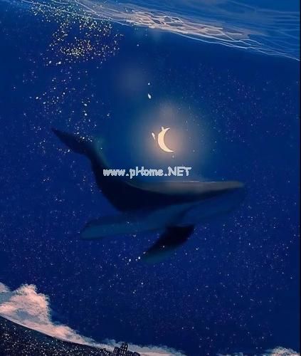 深夜致自己的说说晚安