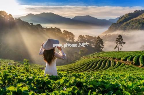 经典幽默搞笑的句子 简短经典的搞笑句子