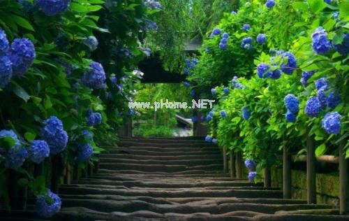 感人的爱情表白短句 适合发朋友圈表白的文案