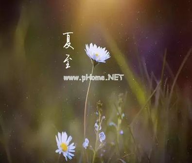 2023夏至节气发的心情说说 夏至到来的心情说说大全26句
