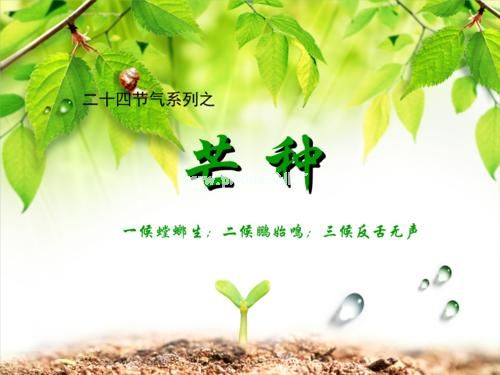 适合芒种发朋友圈说说