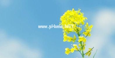 难过了就蹲下来抱抱自己说说