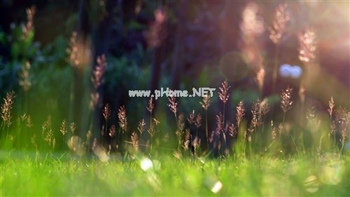 以后早睡早起不熬夜经典说说