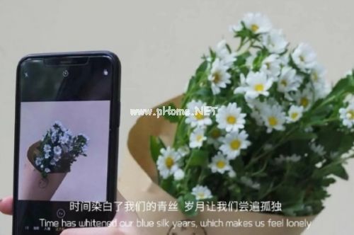 适合三月三发朋友圈的句子 2023三月三的心情说说27句