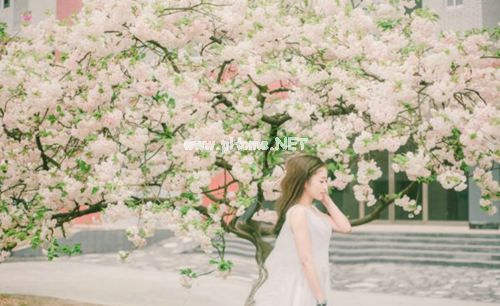 qq个性说说心情 坚信自己，人生往往柳暗花明