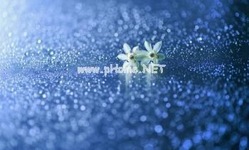 朋友圈说说熬夜句子42句