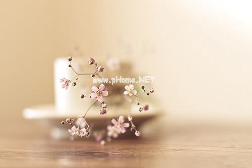 生活简单快乐的短句