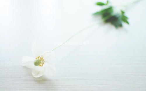 暖暖的说说发朋友圈精选41句
