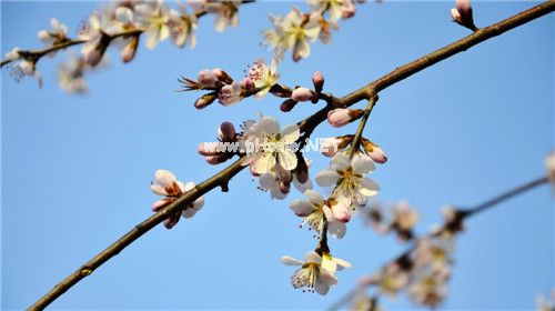 早晨的阳光说说