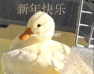 年底最后一天上班的心情说说 最后一天上班的说说