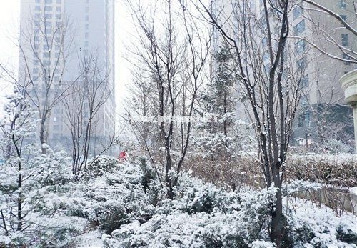 适合在下雪天发的说说 表达下雪的经典的说说