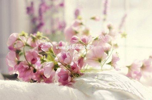 文艺一点的结婚祝福句子 恭喜结婚的祝福语