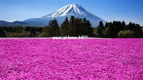 突然明白了一些道理的说说22句
