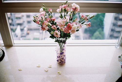 qq个性经典的句子