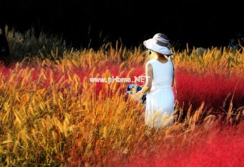 关于和大叔恋爱的句子 大叔丫头的爱情句子20句