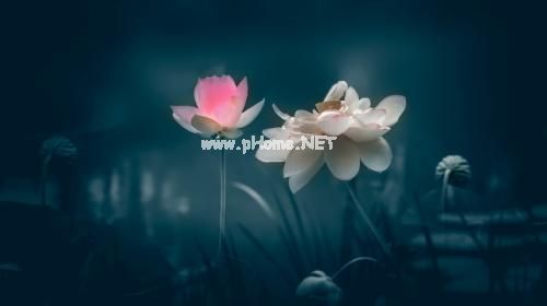 治愈系句子有哪些 治愈心情正能量的句子30句