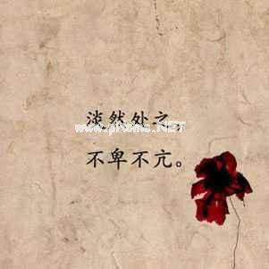 淡然随心说说短句 随心洒脱