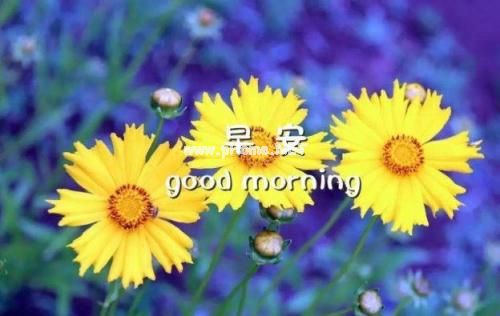 致自己一句话正能量 适合发朋友圈积极向上的句子17句
