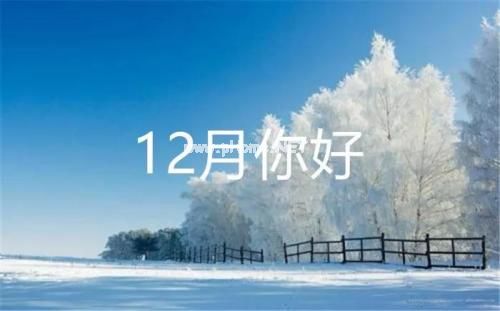 十二月你好的心情说说
