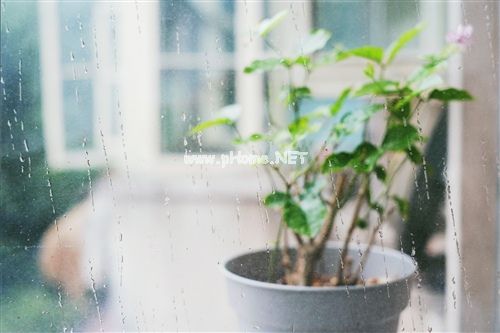 窗外下雨睡不着的说说 听窗外雨声的朋友圈说说