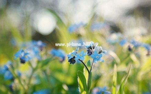 最新晚安经典短句图片 晚安心语说说配图