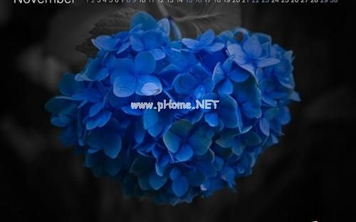 qq伤感短说说 遇见你太早，不能与你白头偕老